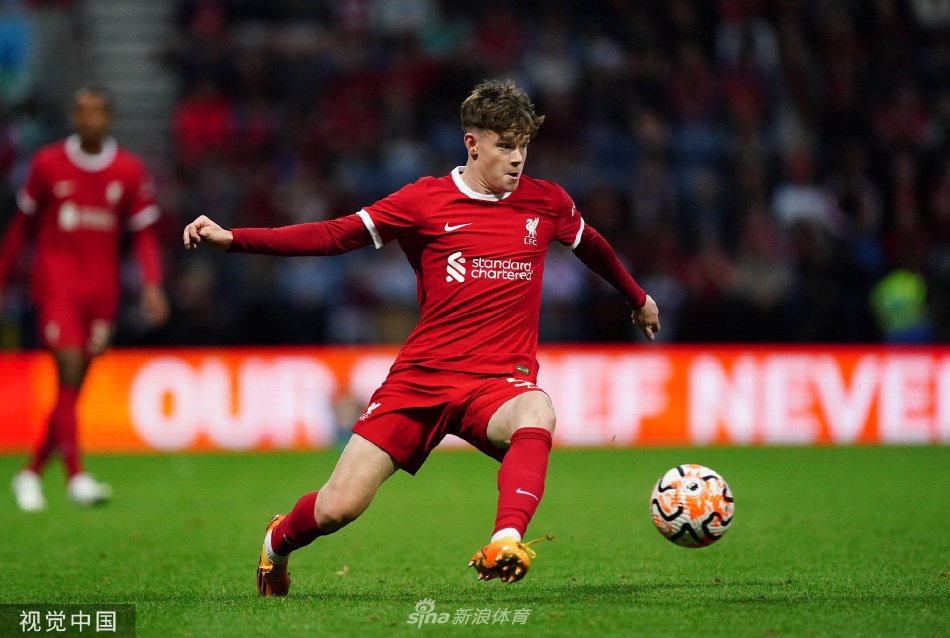 这意味着 这意味着